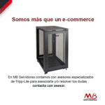 Tripp Lite Gabinete de Rack 24U, max. 453.6KGs, para Instalación Vertical en Rack – con Rieles Delanteros y Traseros Ajustables