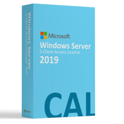 Microsoft Windows Server CAL 2019, 5 Usuarios, DSP, Español, OEM