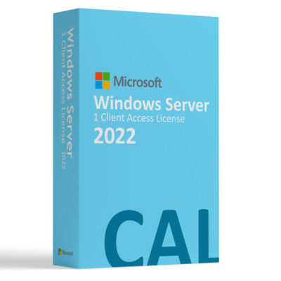 Microsoft Windows Server 2022 CAL, 1 Licencia, DSP, Español, OEI