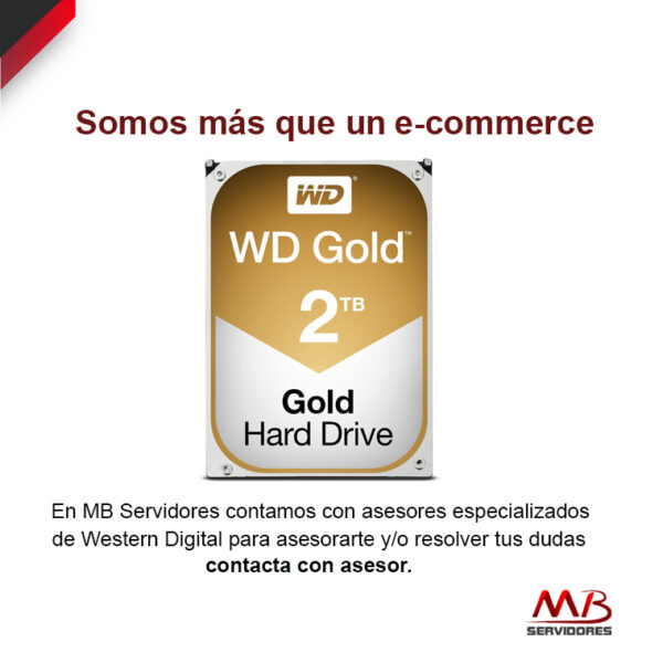 Disco Duro para Servidor Western Digital WD Gold 3.5'', 2TB, SATA III, 6 Gbit/s, 7200RPM, 128MB Cache